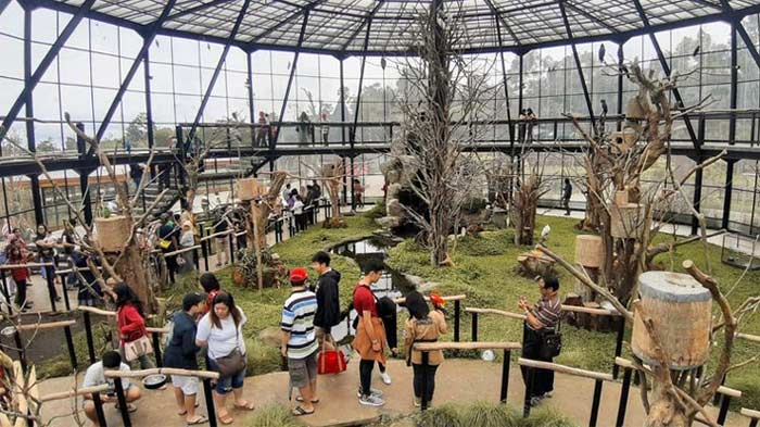 Bird Aviary Lembang Park Zoo