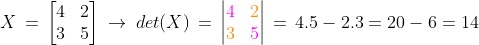 Contoh Soal Determinan Matriks 2x2 1